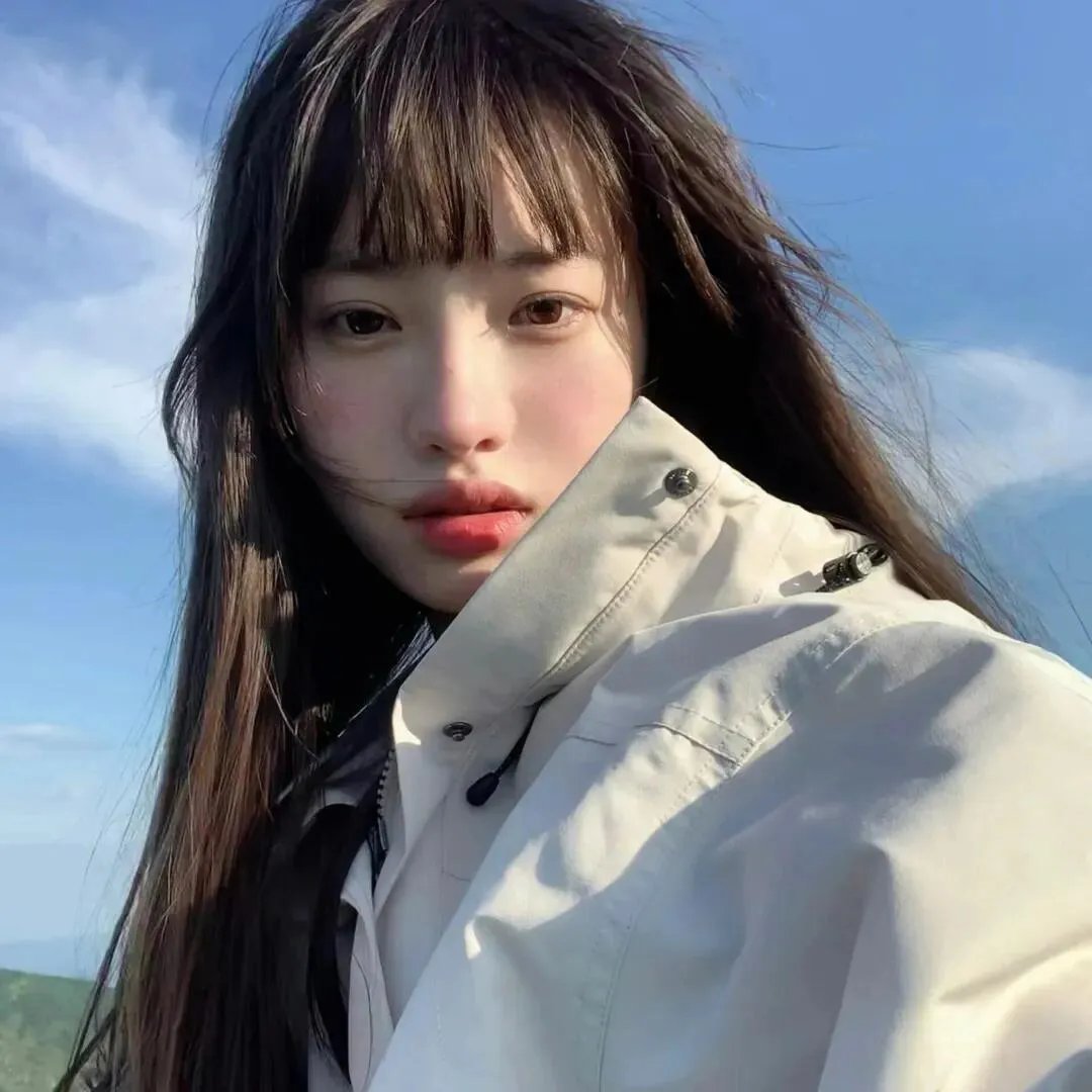 火之鸟772